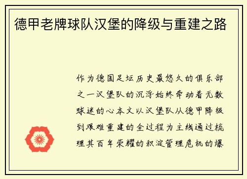 德甲老牌球队汉堡的降级与重建之路